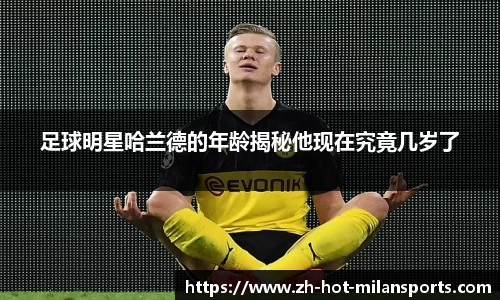 MILANSPORT下载